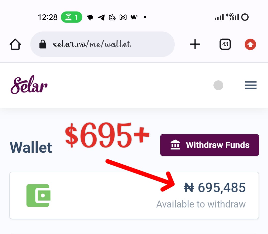 Selar wallet screenshot